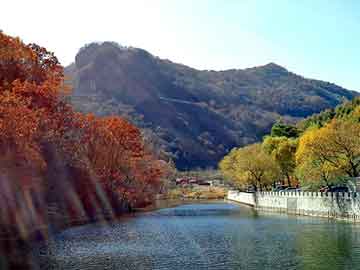 新澳天天开奖资料大全旅游团，天涯 论坛